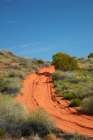 The French Line offroad track across dunes, Munga-Thirri National Park, Australia. Art Print